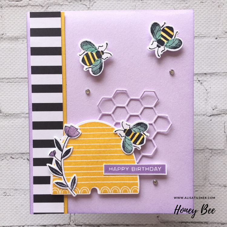 Honey Bee Birthday Cards using the Honey Bee Bundle from the Stampin' Up! January - June Mini Catalogue. Card created by Alisa Tilsner