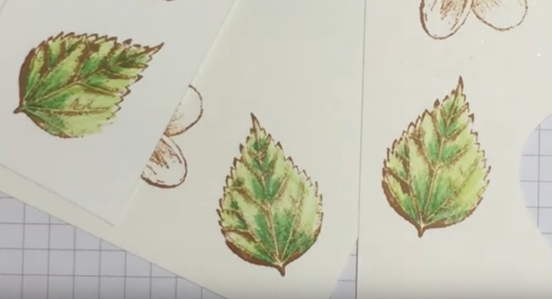 Testing out our Watercolour Pencils on 3 types of Cardstock