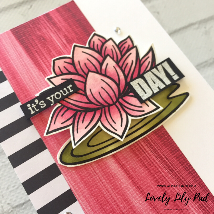 Lovely Lily Pad Sale a Bration Set