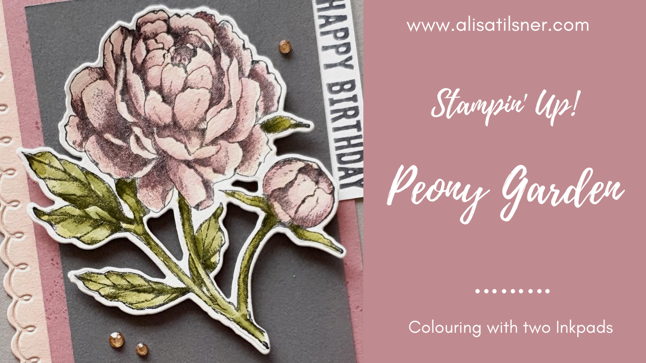 Second Prized Peony Video & BOGO Sale on now