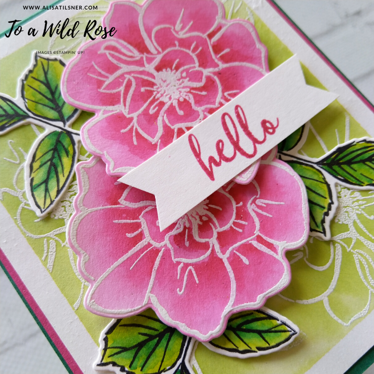 To a Wild Rose
