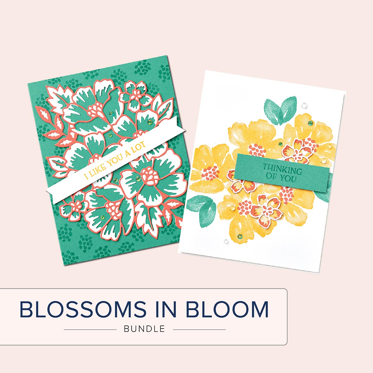 Bundle Focus – Blossoms in Bloom