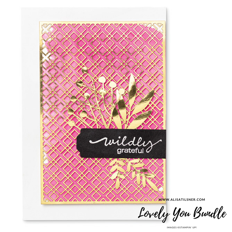 Bundle Focus - Lovely You.
Check out 3 Cards with recipes on my blog.