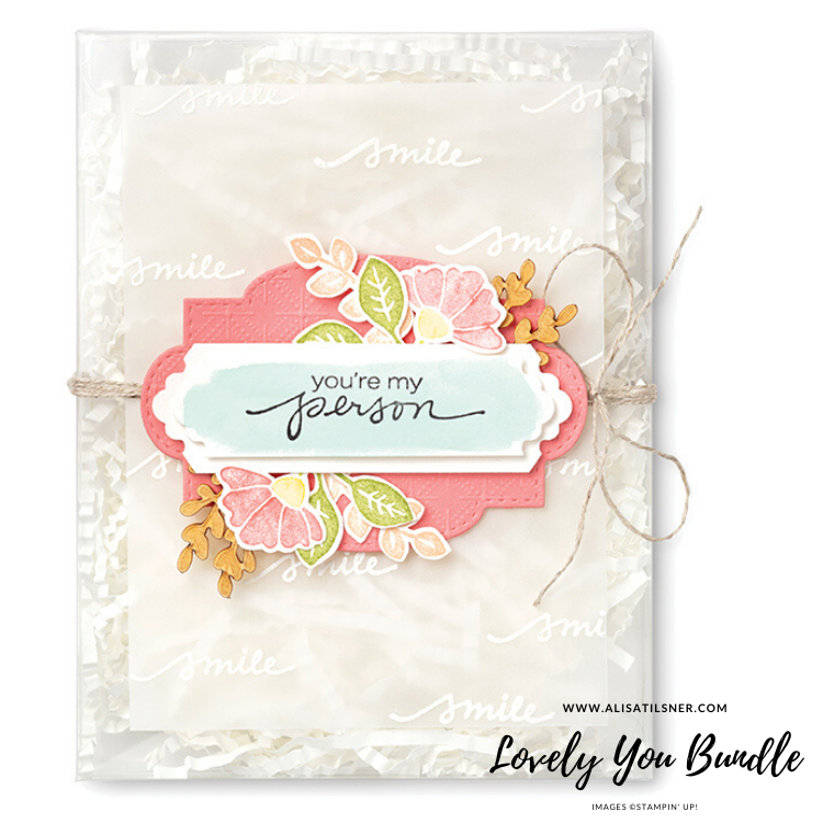 Bundle Focus - Lovely You.
Check out 3 Cards with recipes on my blog.
