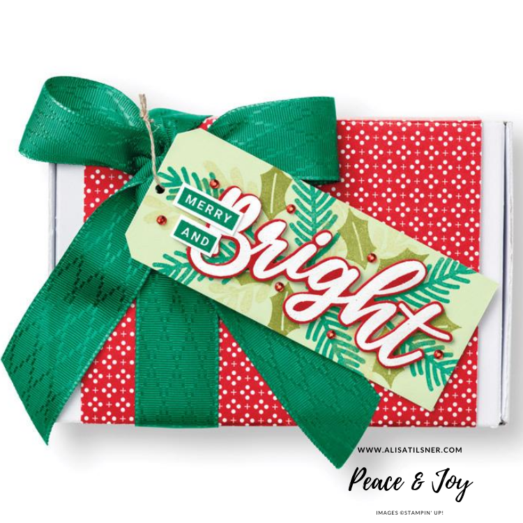 Peace & Joy Bundle Focus