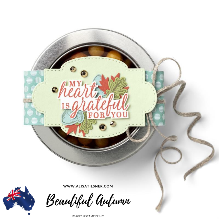 Beautiful Autumn Bundle Focus with Alisa Tilsner