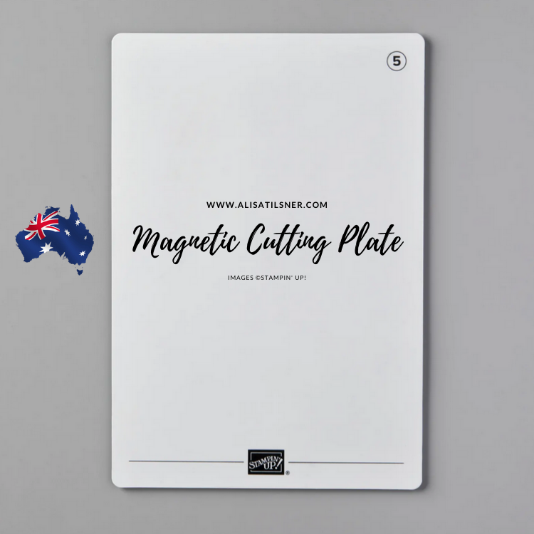 Does the Stampin' Cut & Emboss Magnetic Plate work in the Big Shot?