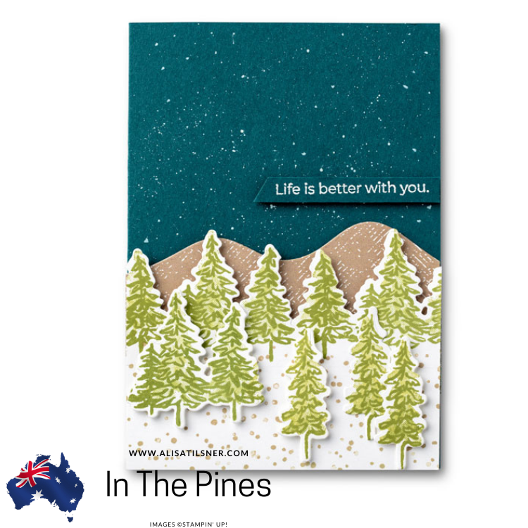 In The Pines Bundle Focus