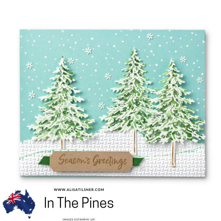 In The Pines Bundle Focus