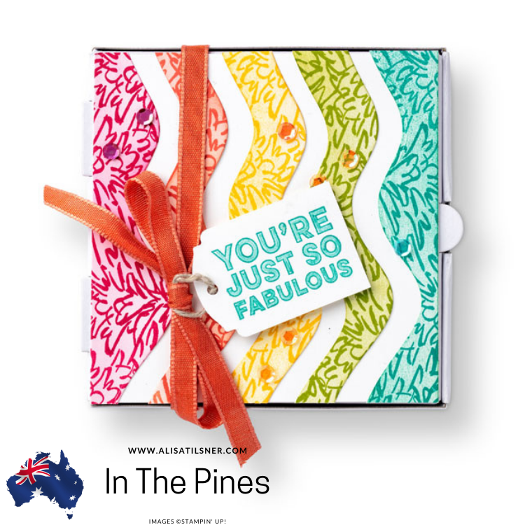 In The Pines Bundle Focus