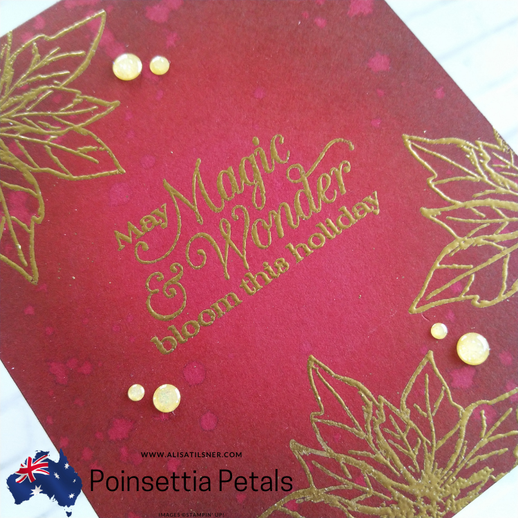 No Layer, Quick Christmas Card with Poinsettia Petals