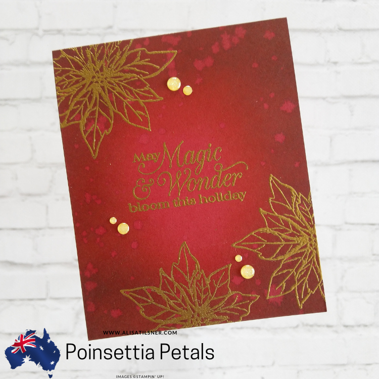 Poinsettia Petals Christmas Card