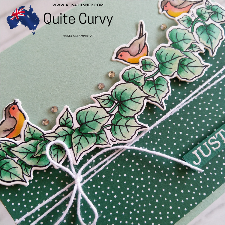 Stampin’ Up! Quite Curvy Card