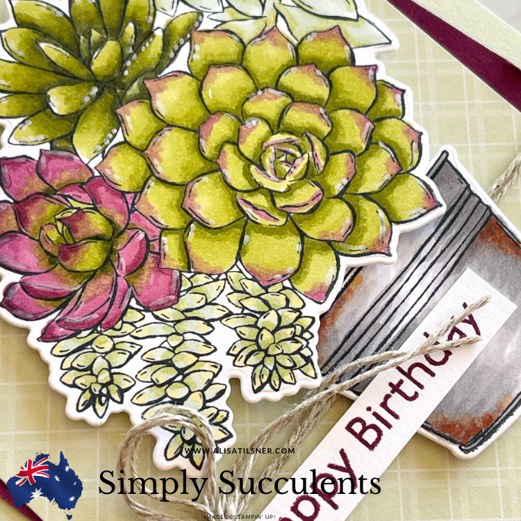 Stampin’ Up! Simply Succulents Bundle