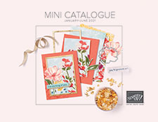 Jan Mini Catalogue & Sale a Bration Brochure now LIVE