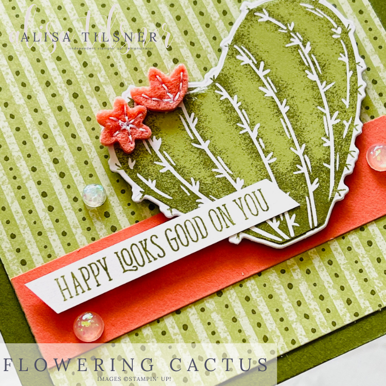 Flowering Cactus Medley is Retiring