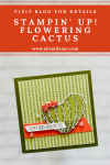 Flowering Cactus