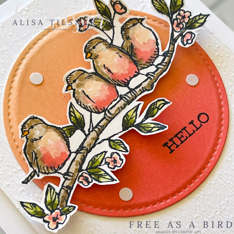 Free as a Bird