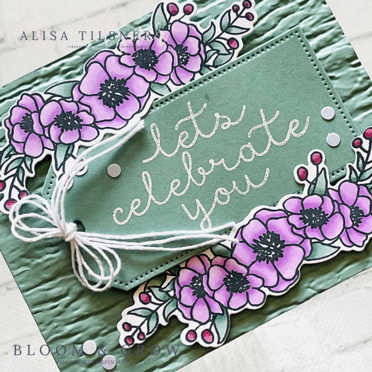 Bloom & Grow with new InColours