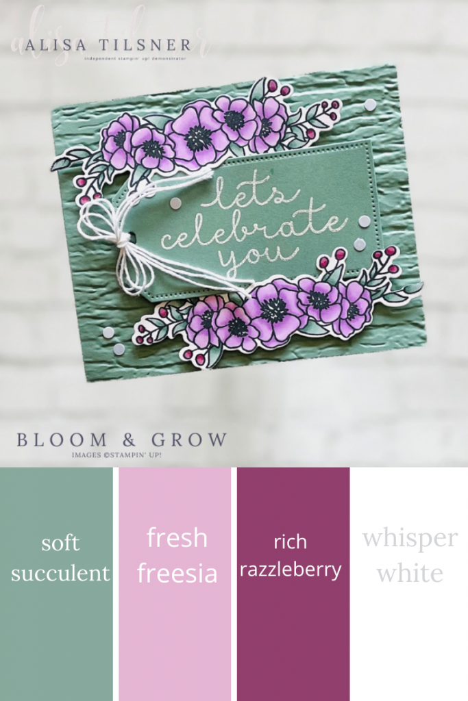 Colour Combo