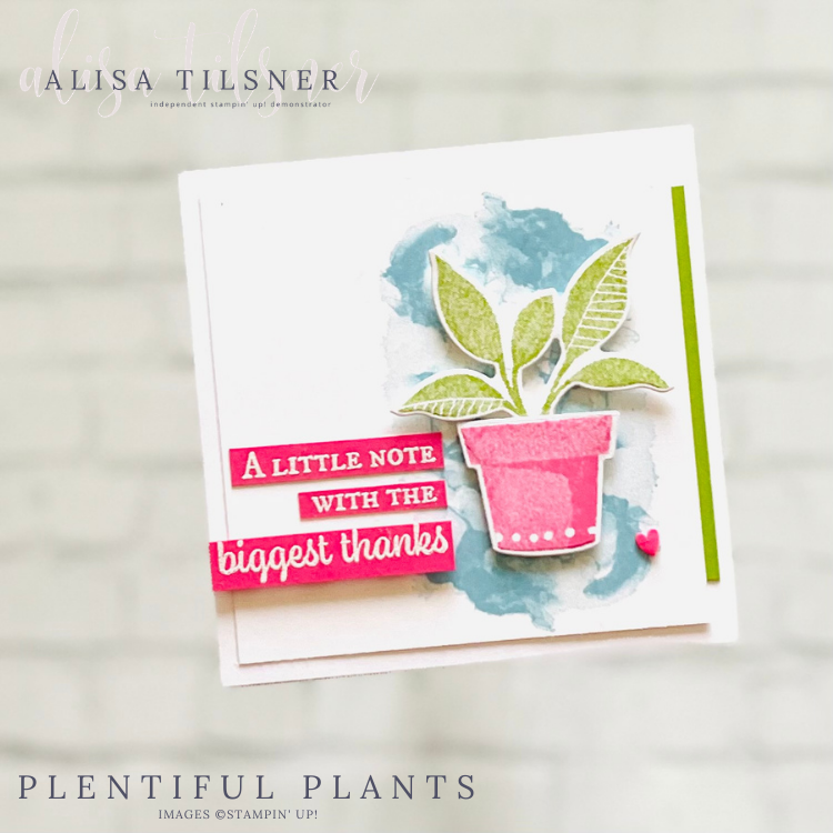 Plentiful Plants Thank You Note Card