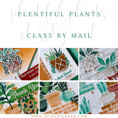 Plentiful Plants Class by Mail Instructions