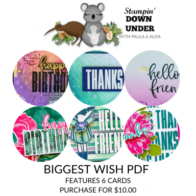 Biggest Wish PDF