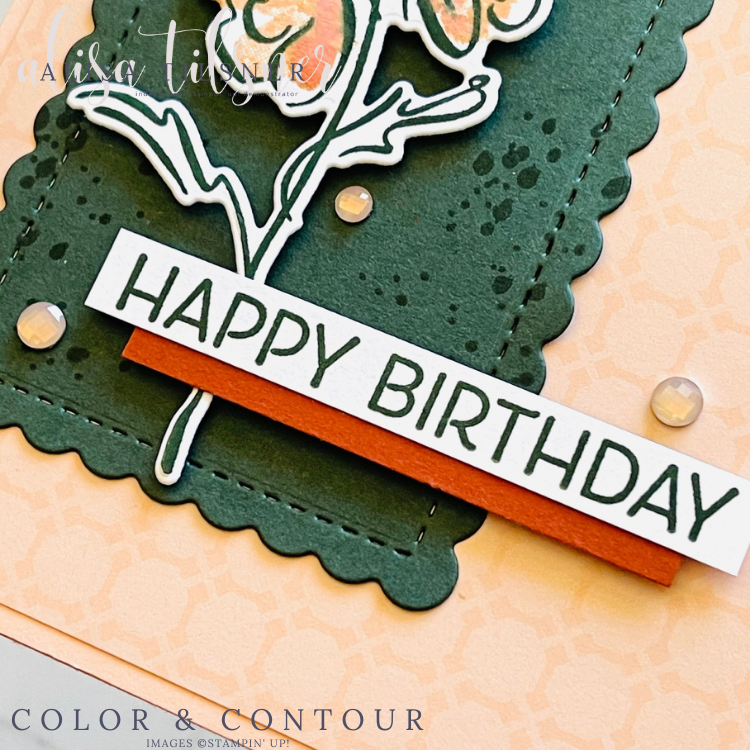 Color & Contour