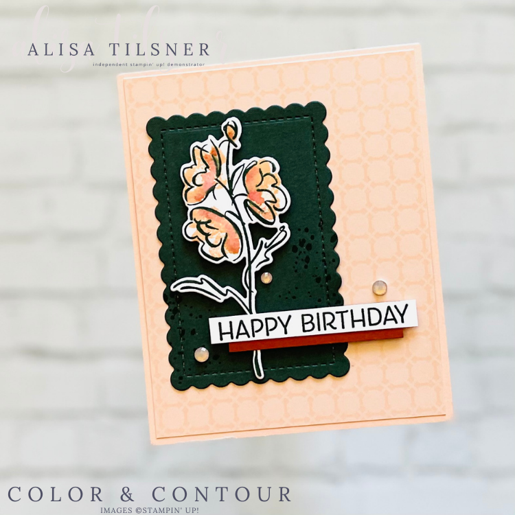 Stampin’ Up! Color & Contour Birthday Card