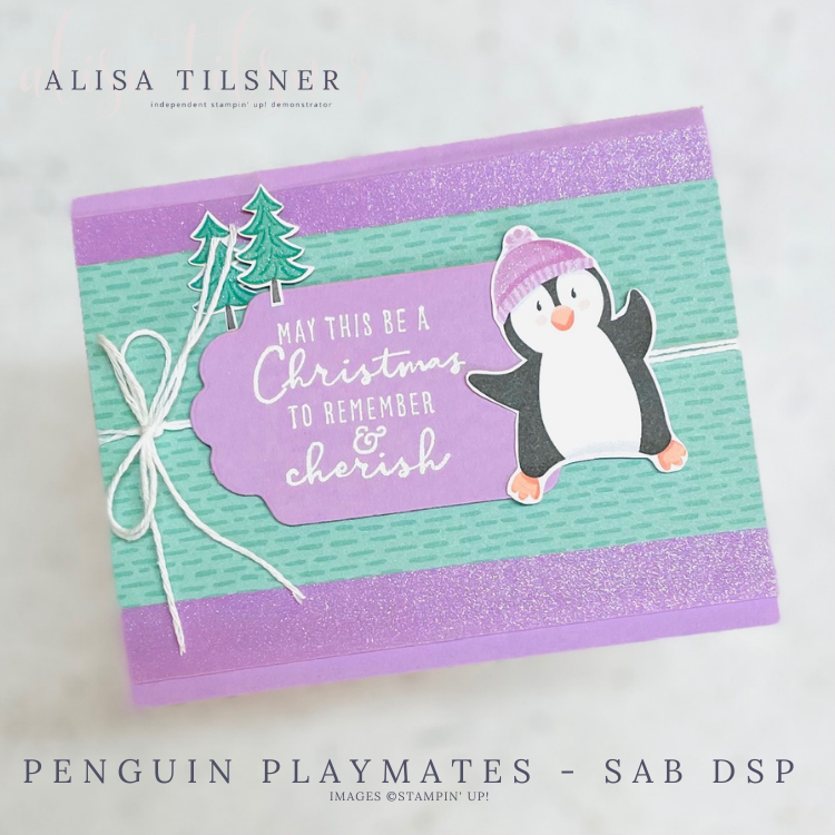 Penguin Playmates