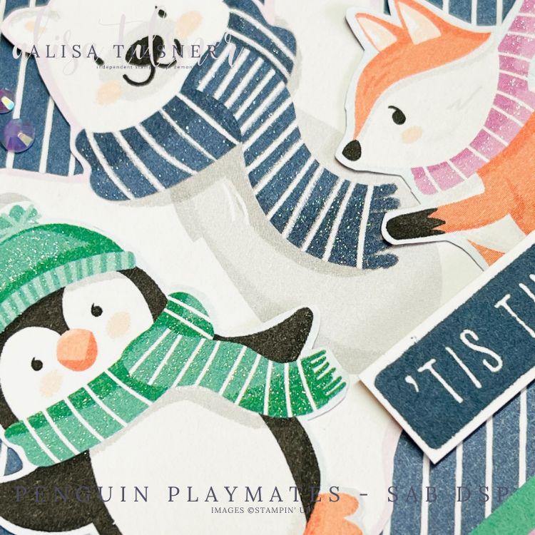 Penguin Playmates Christmas Cards – Live Stream Video