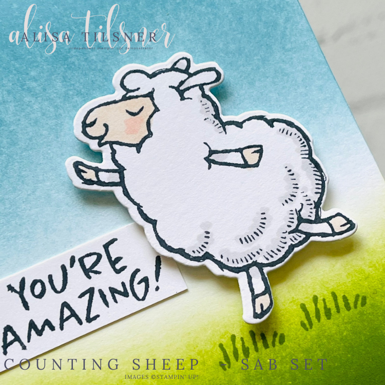 Counting Sheep Sale a Bration Set