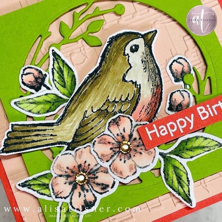 Happy Holly-Days Birthday Card