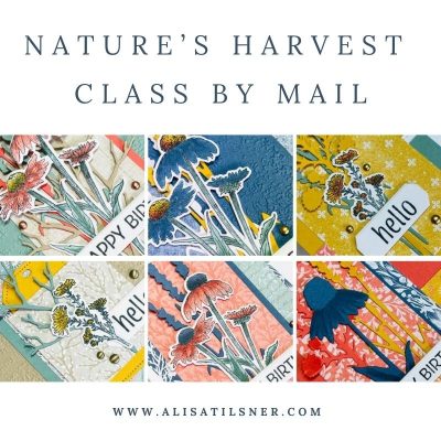 Nature's Harvest Class by Mail Instructions