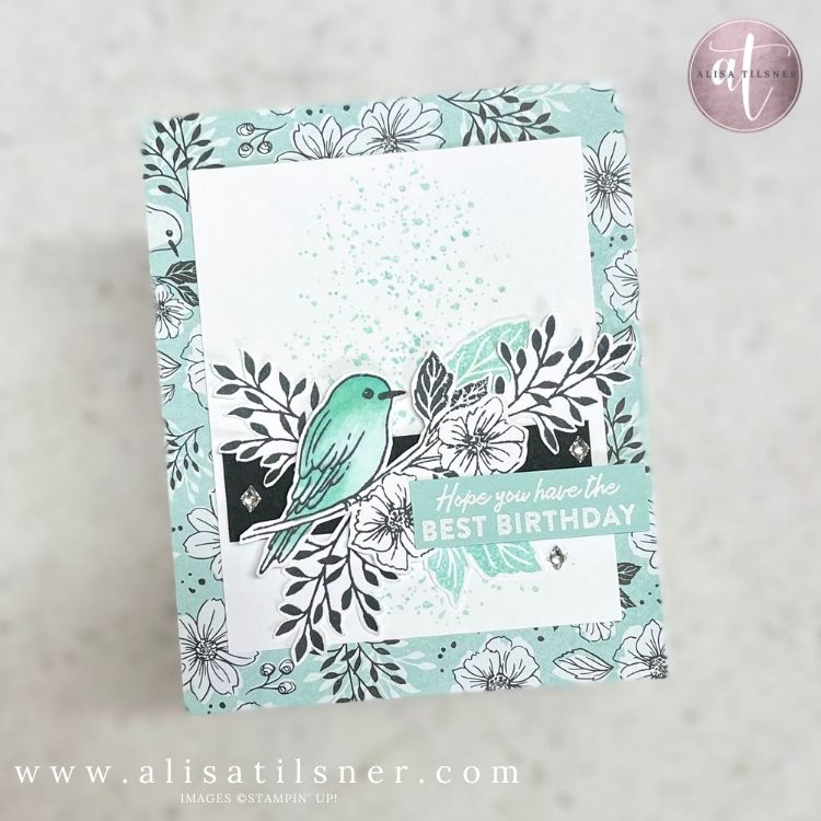 1 Layout 3 Cards