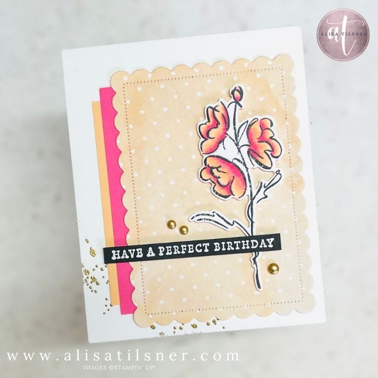 Stampin’ Up! Color & Contour Video Tutorial
