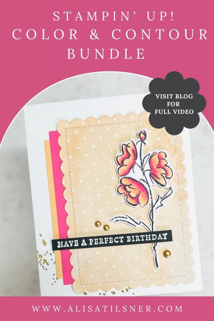Color & Contour Bundle
