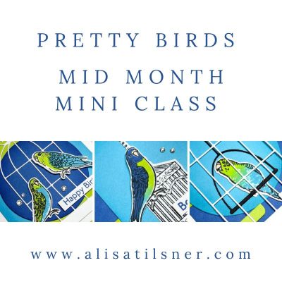 Pretty Birds Class