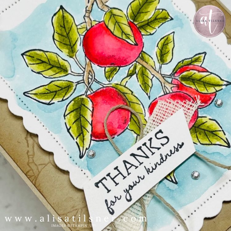 watercolour stampin up apple harvest set