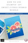 Stampin Up Sweet Citrus Hybrid Bundle