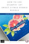 Stampin Up Sweet Citrus Hybrid Bundle