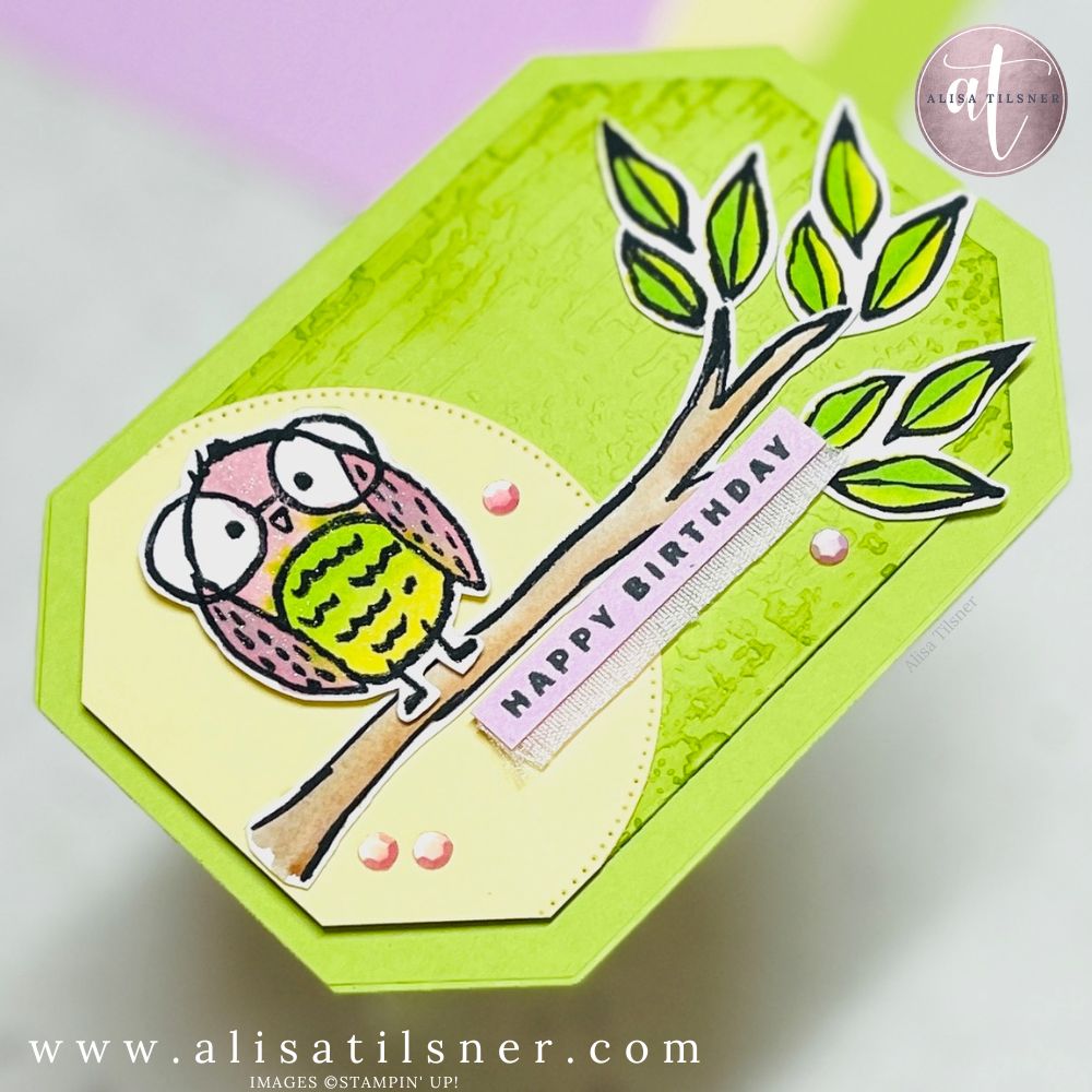 Stampin Up Birds Eye View