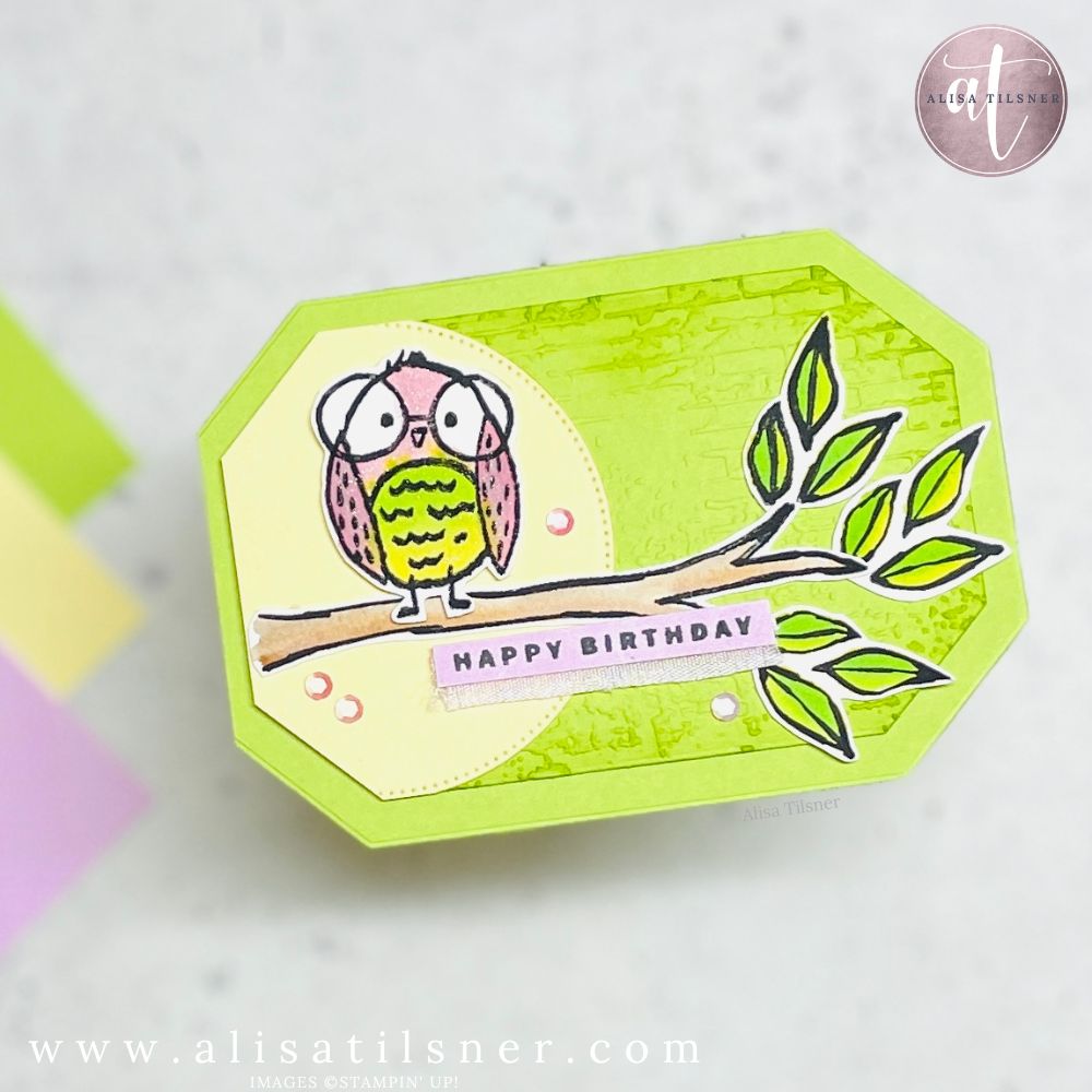 Stampin Up Birds Eye View
