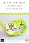 Stampin Up Birds Eye View