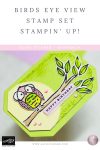 Stampin Up Birds Eye View