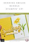 Stampin Blends