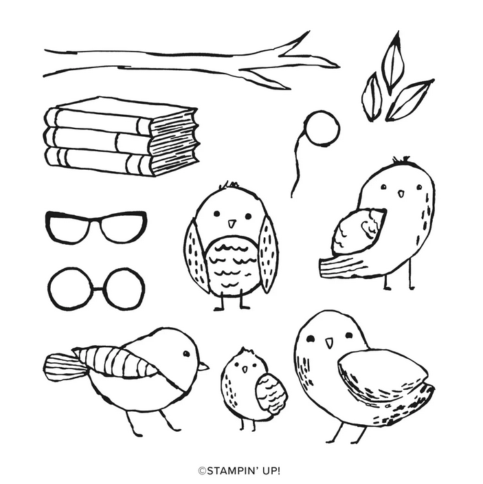 Stampin Up Birds Eye View