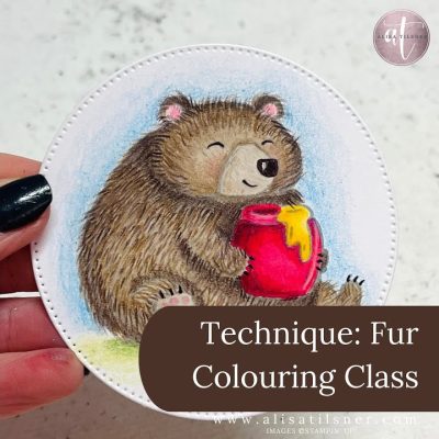Fur Technique Colour Class