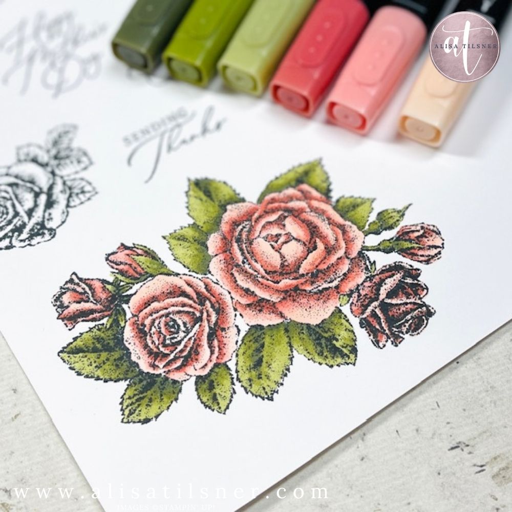 Stampin Up Stippled Roses Bundle