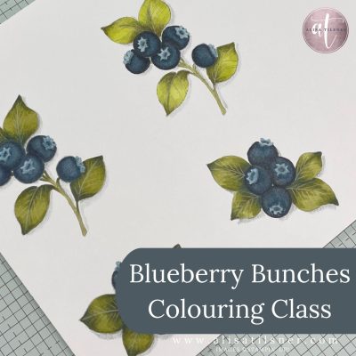 Blueberry Bunches Colouring Class